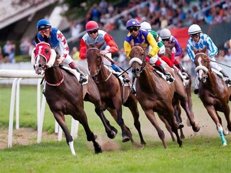 apostar em corrida de cavalos online
